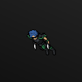 Rogue male looktype 873